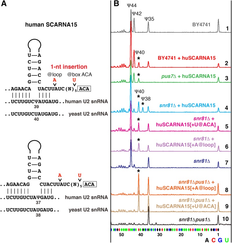 FIGURE 2.