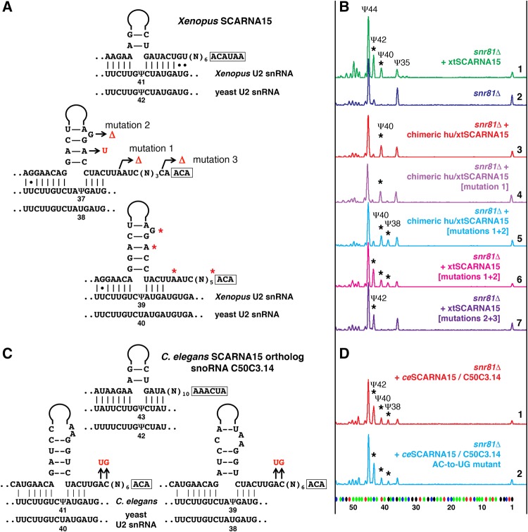 FIGURE 3.