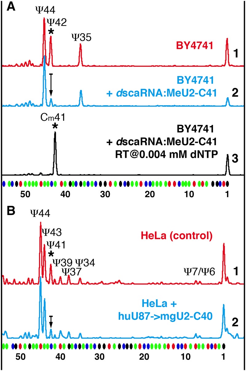 FIGURE 7.