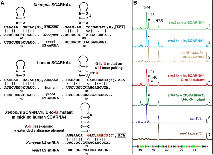 FIGURE 4.