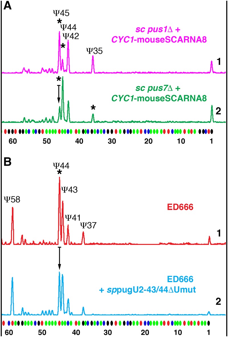 FIGURE 6.