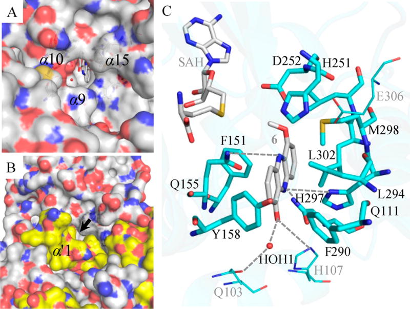 Figure 7