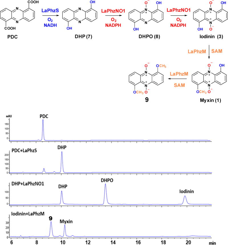 Figure 4