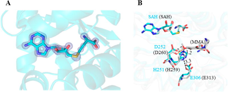 Figure 6