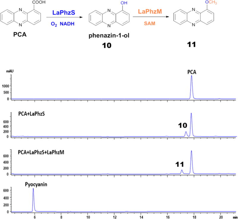 Figure 5