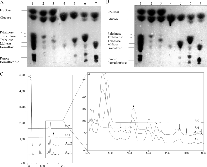 FIG. 4.