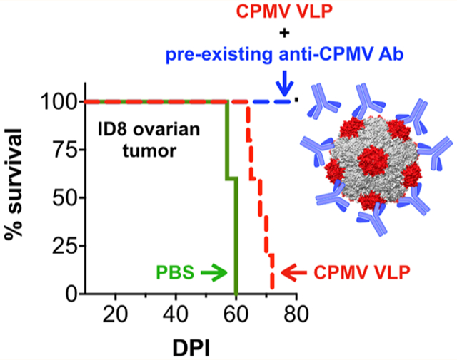 Antibody Response against Cowpea Mosaic Viral Nanoparticles Improves In ...