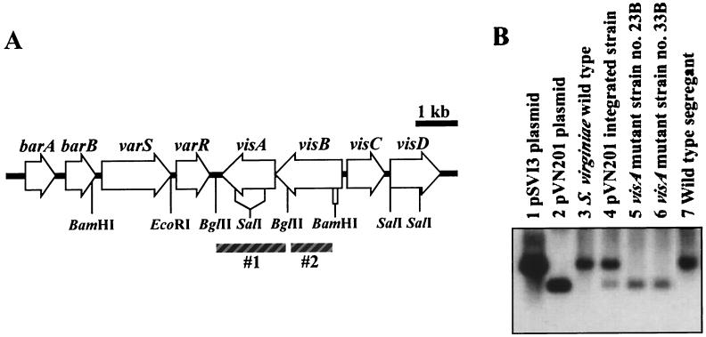 FIG. 5.