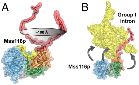 Fig. 6.