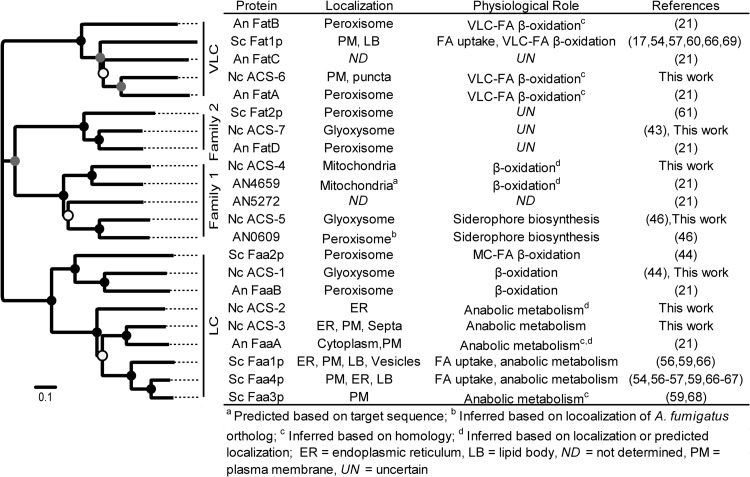 Fig 7