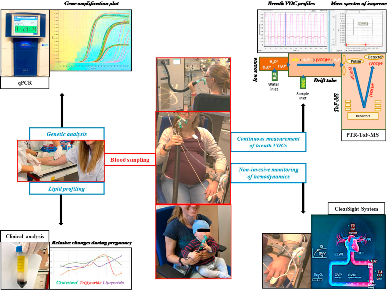 Figure 1