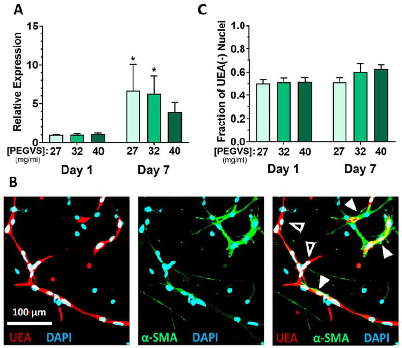 Figure 4: