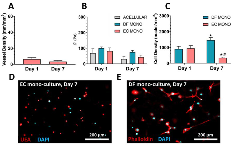 Figure 2: