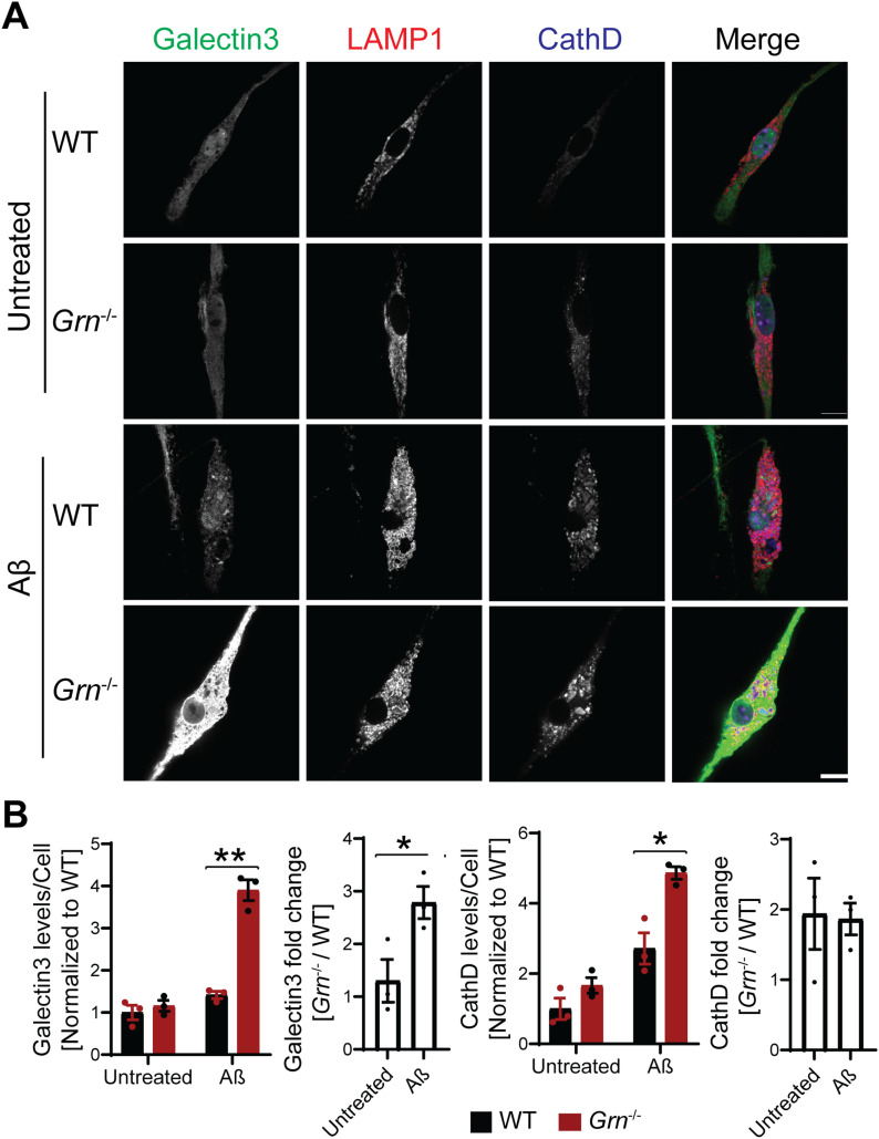 Figure 11.