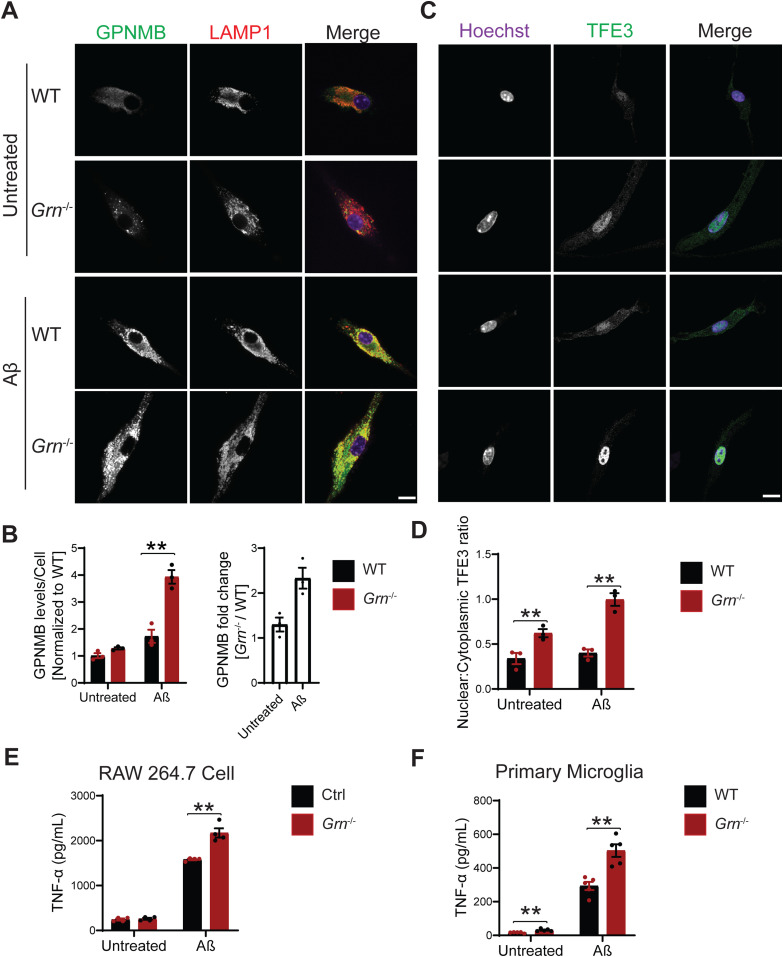 Figure 12.