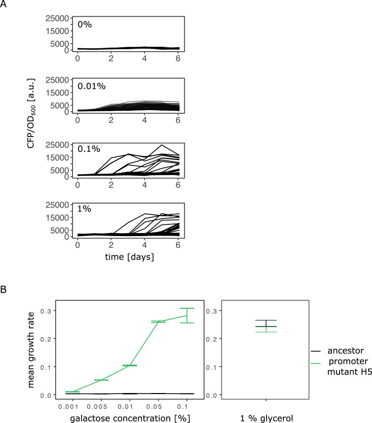 Figure 2—figure supplement 2.