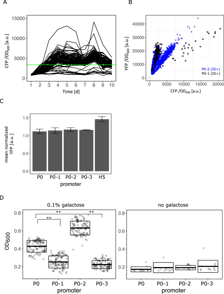 Figure 6—figure supplement 1.