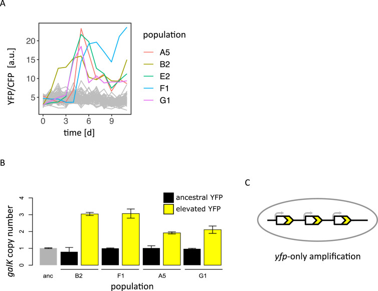 Figure 2—figure supplement 3.