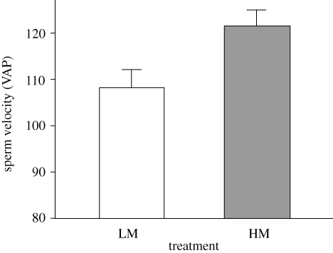 Figure 1.