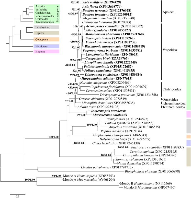 Figure 2.