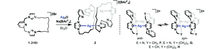 Scheme 3