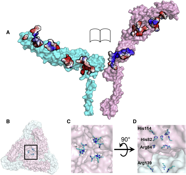 Figure 5