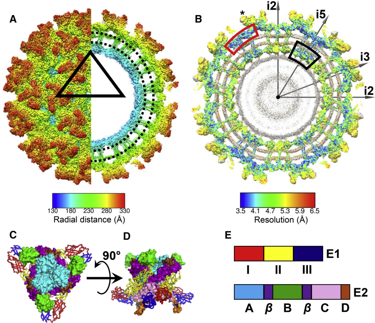 Figure 1