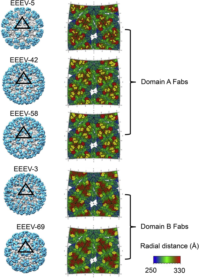 Figure 6