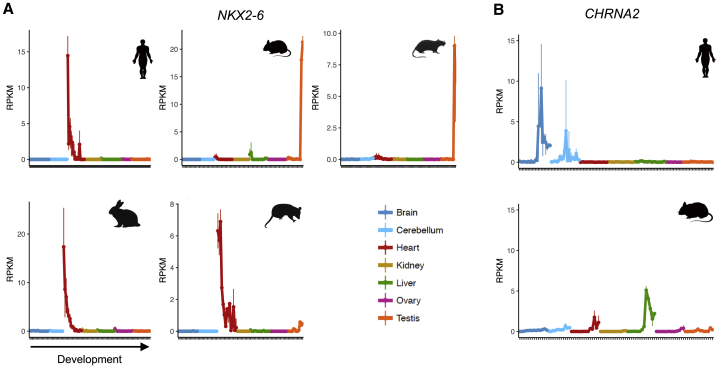 Figure 4