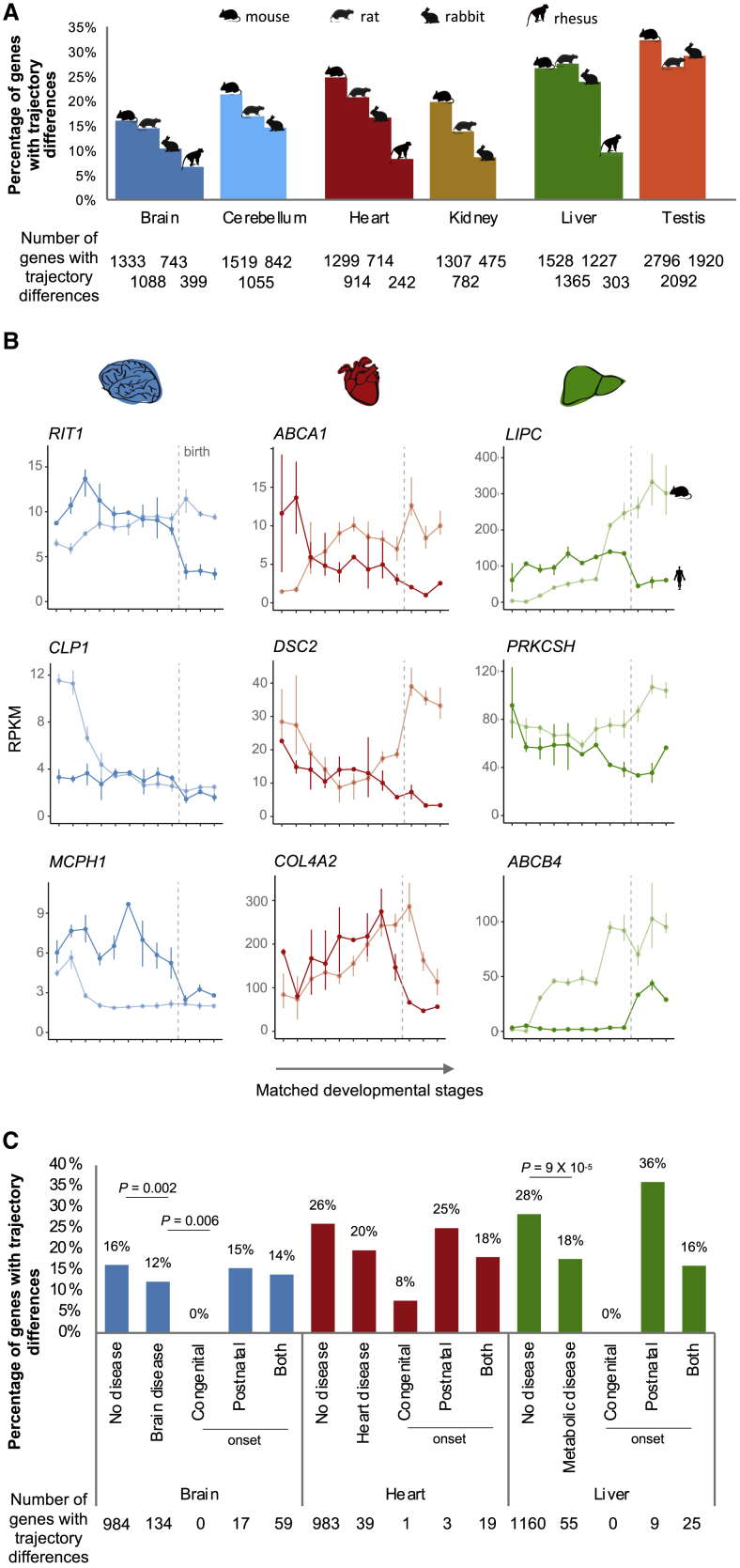 Figure 6