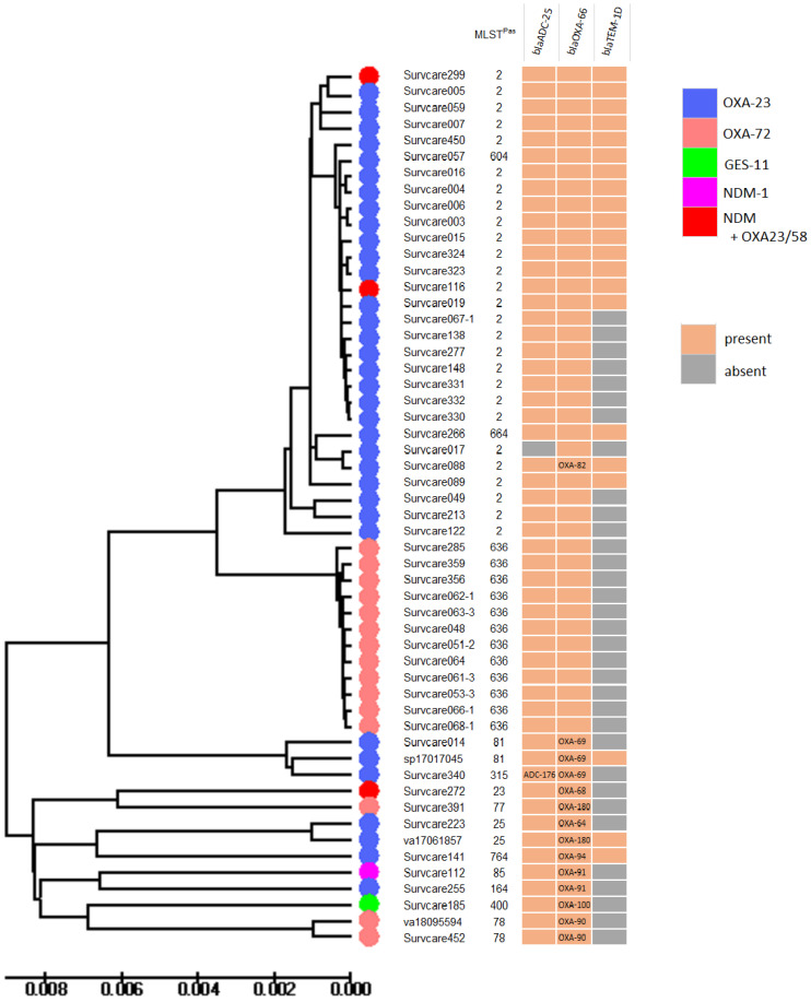 Figure 6