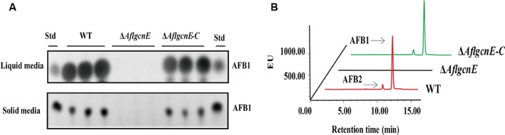 FIGURE 7