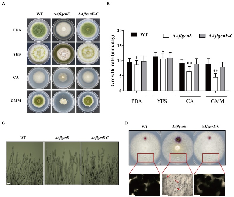 FIGURE 3