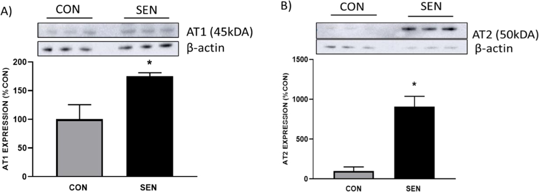 Fig 6: