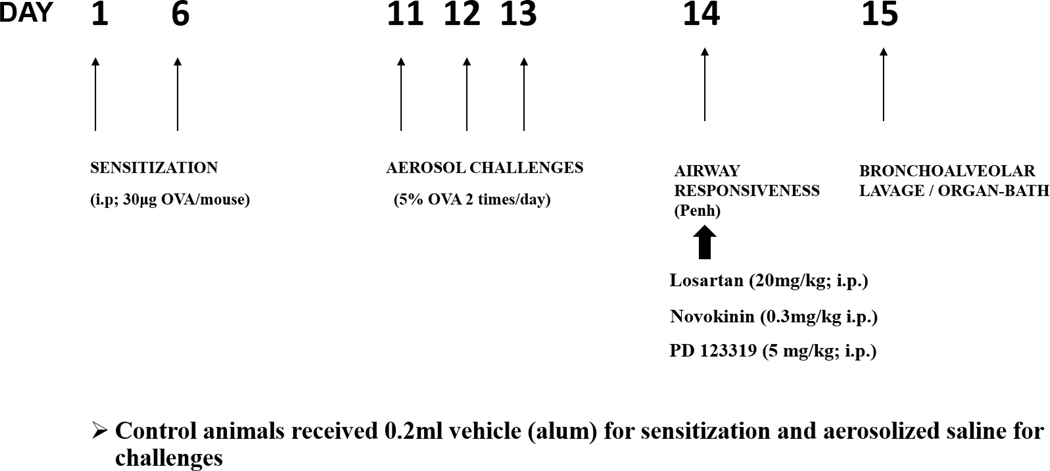 Fig 1: