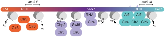 Figure 9