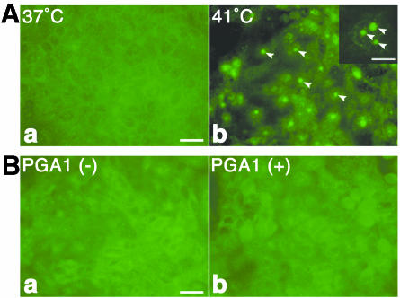 FIG. 8.