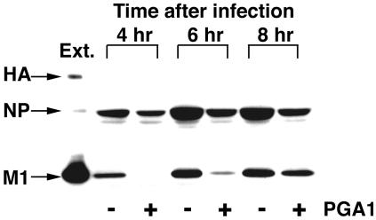 FIG. 6.