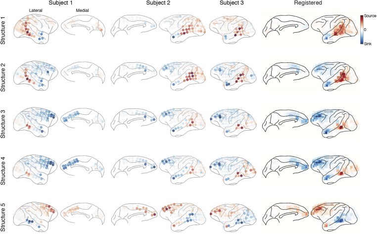 Figure 4—figure supplement 2.