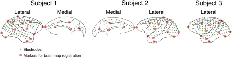 Figure 1—figure supplement 1.