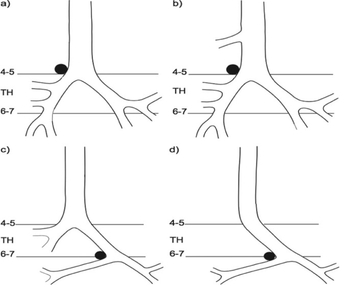 Fig. 10