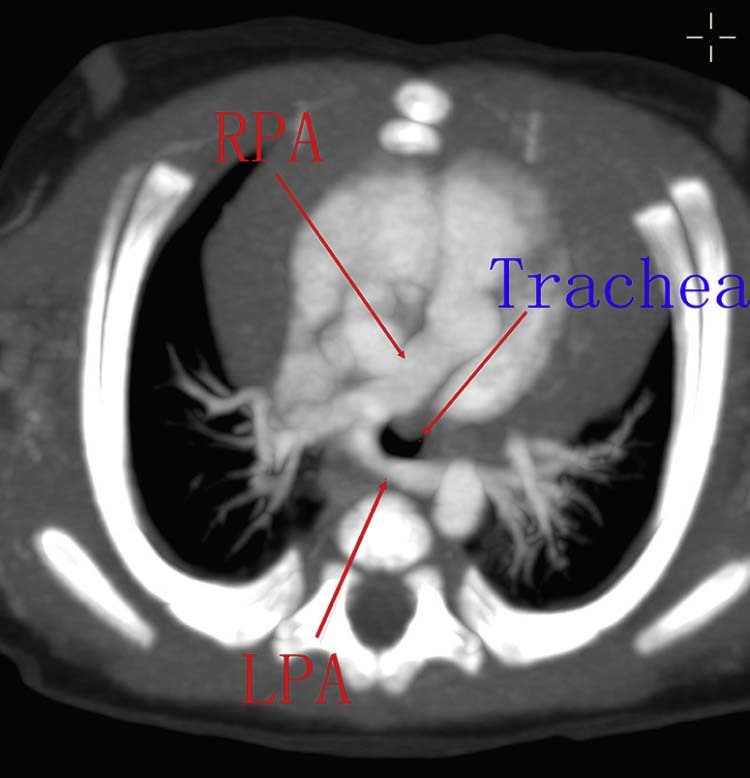 Fig. 8