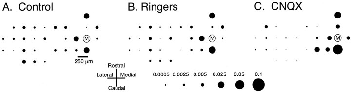 Fig. 8.