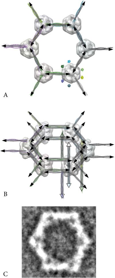 Fig. 6