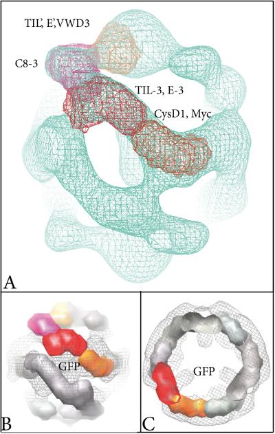 Fig. 5