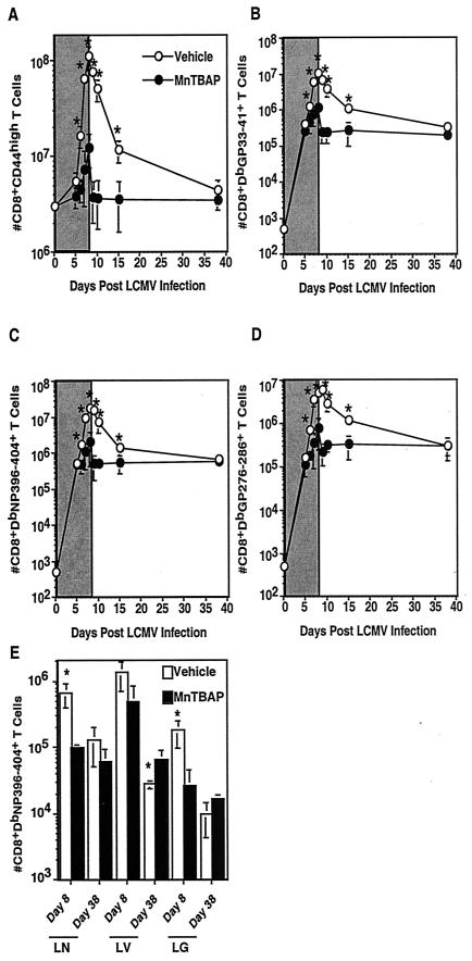 FIG.3.