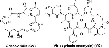 Fig. 1