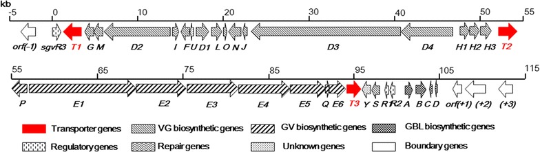 Fig. 2