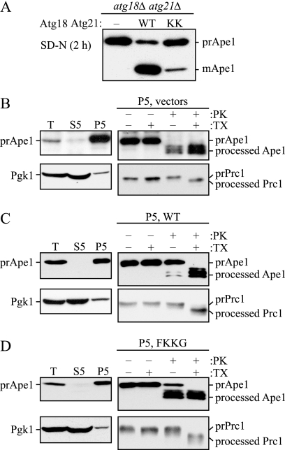 FIGURE 3.