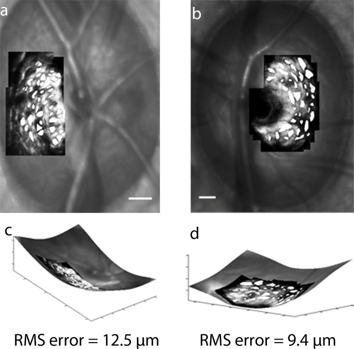 Fig. 7